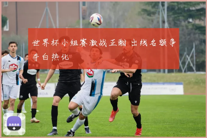 世界杯小组赛激战正酣 出线名额争夺白热化