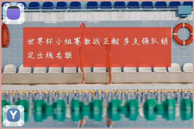 世界杯小组赛激战正酣 多支强队锁定出线名额