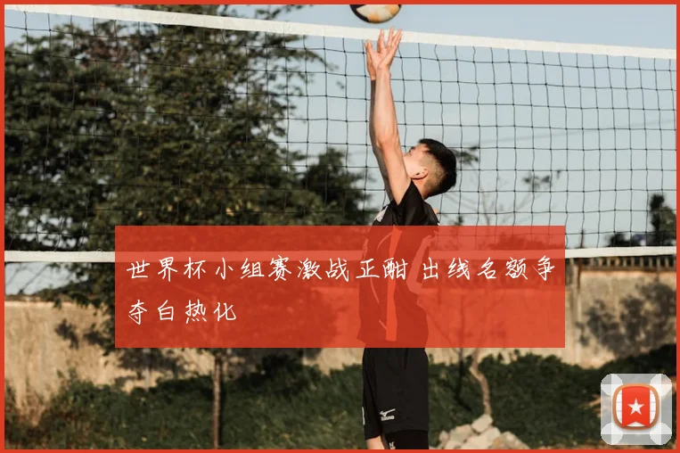 世界杯小组赛激战正酣 出线名额争夺白热化