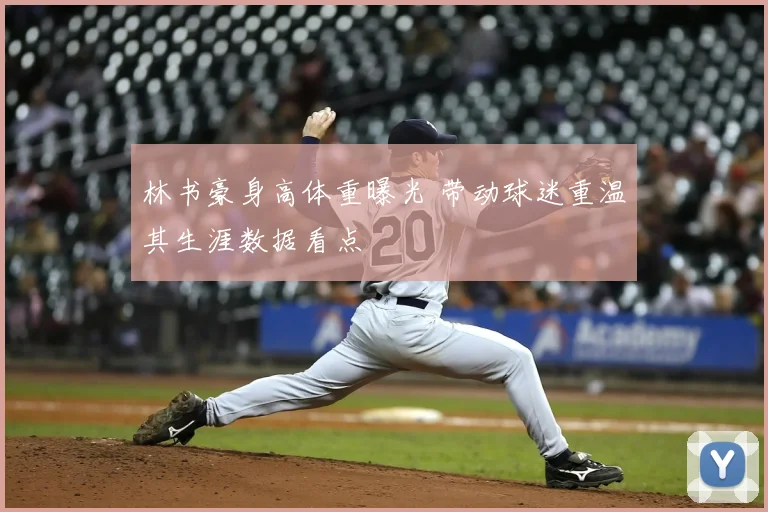 林书豪身高体重曝光 带动球迷重温其生涯数据看点