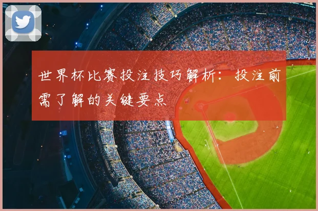 世界杯比赛投注技巧解析：投注前需了解的关键要点